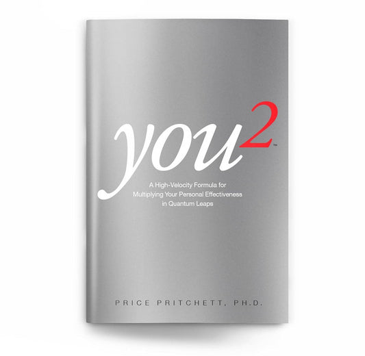 YOU 2 By Price Pritchett - BooksAdora
