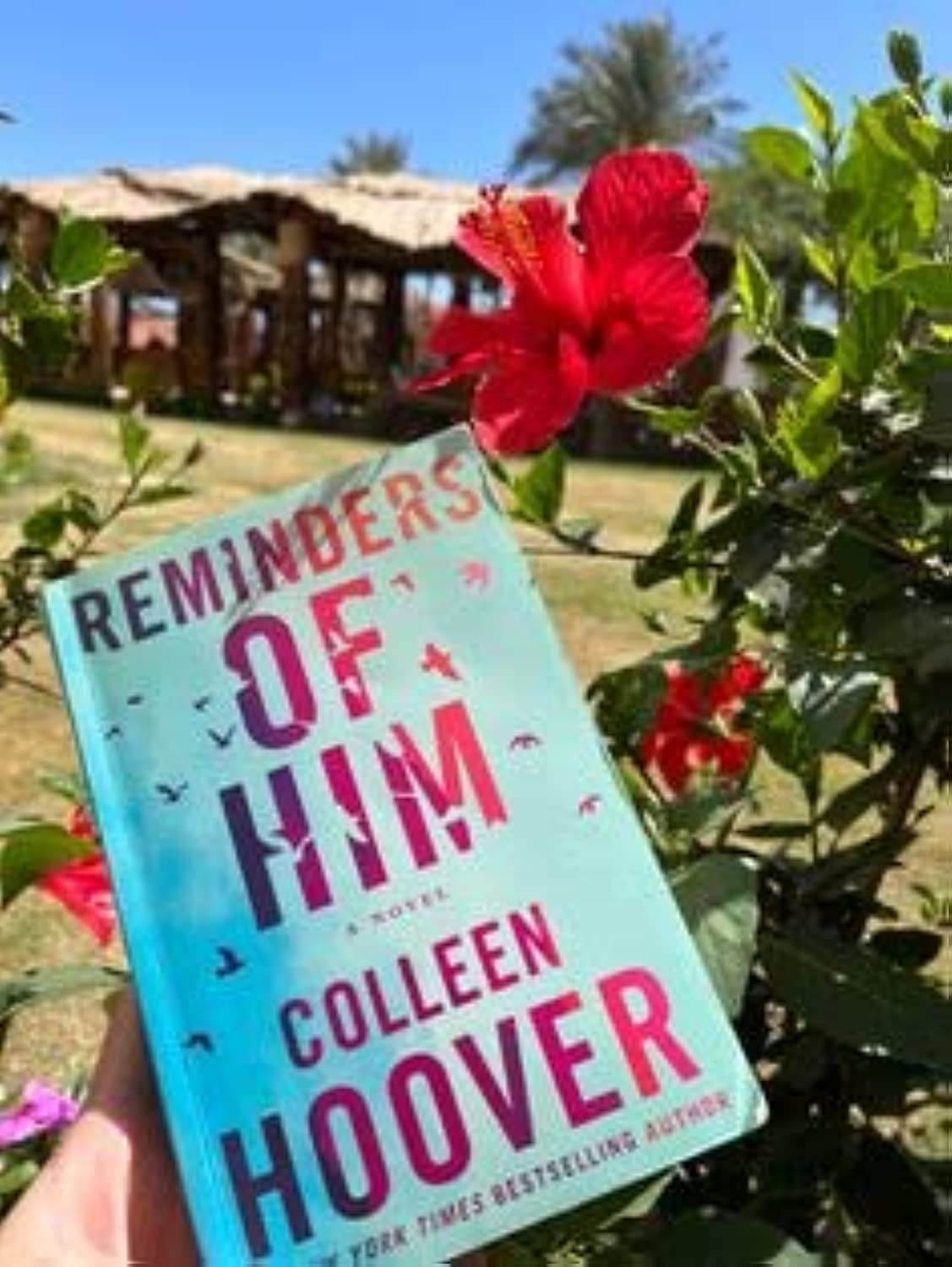 Reminders Of Him: A Novel by Colleen Hoover - BooksAdora