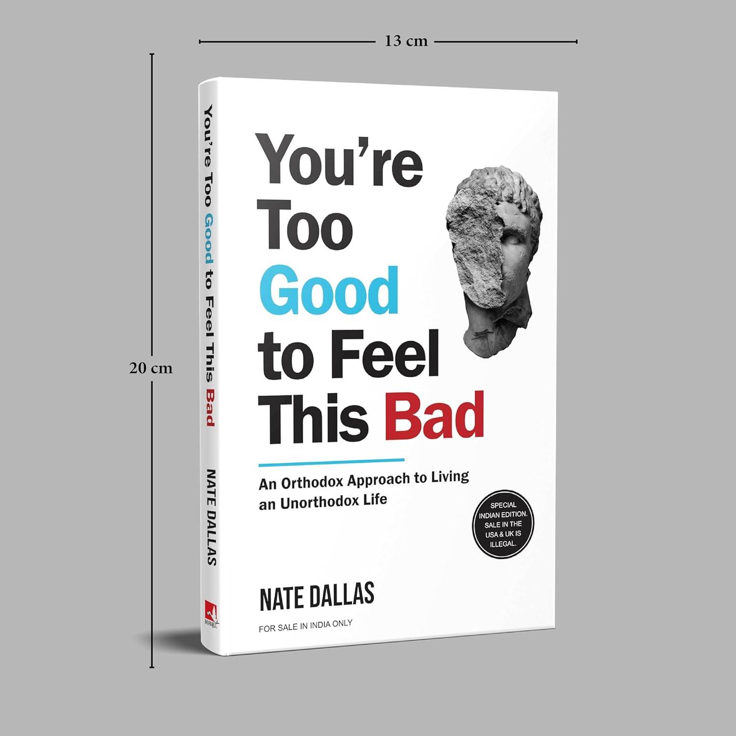 You're Too Good To Feel This Bad by Nate Dallas - BooksAdora