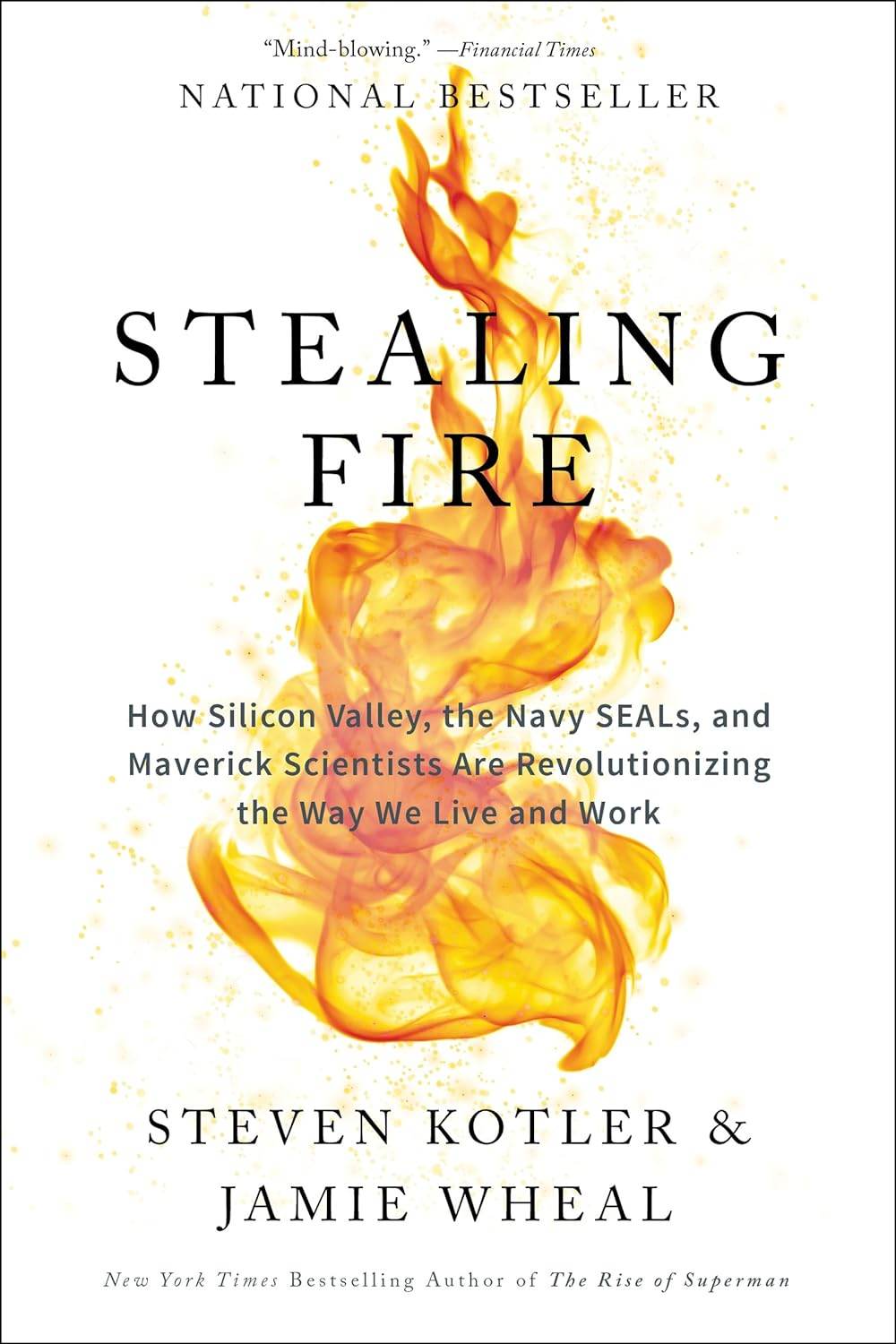 Stealing Fire By Steven Kotler - BooksAdora
