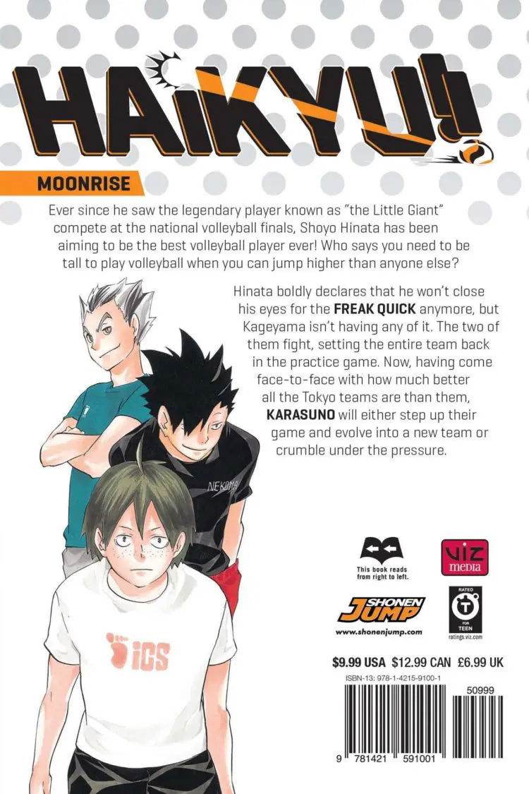 Haikyu!!, Vol. 10 - BooksAdora
