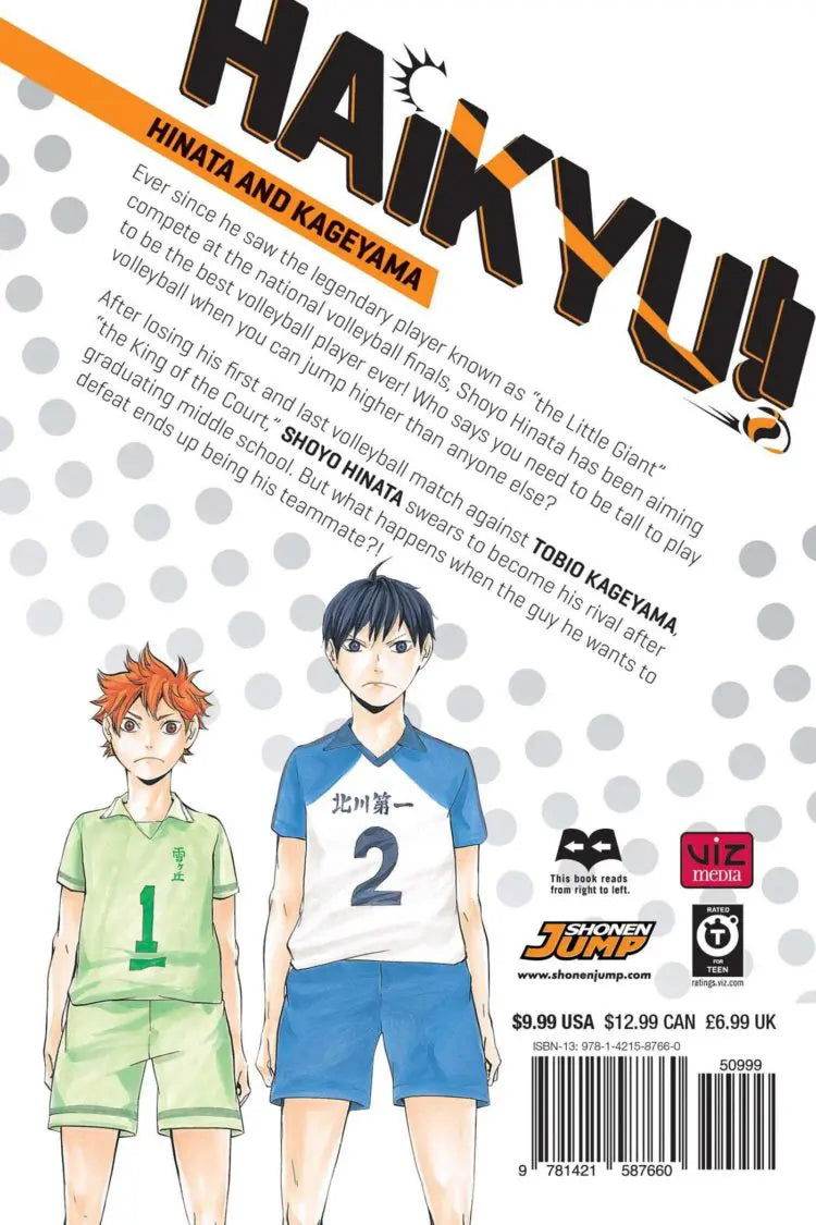 Haikyu!!, Vol. 1 - BooksAdora