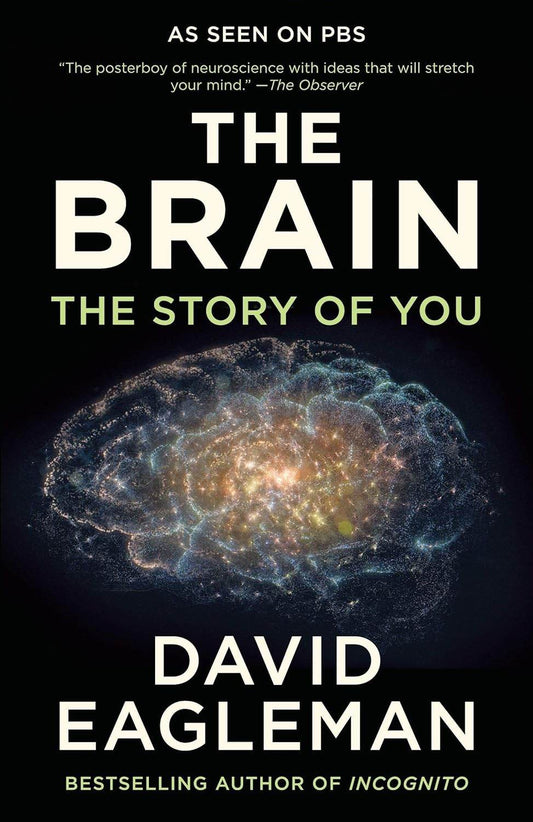 The Brain by David Eagleman - BooksAdora