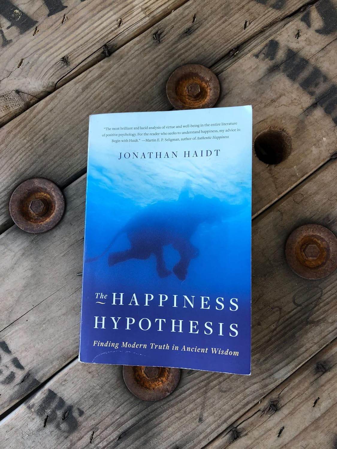 The Happiness Hypothesis by Jonathan Haidt - BooksAdora