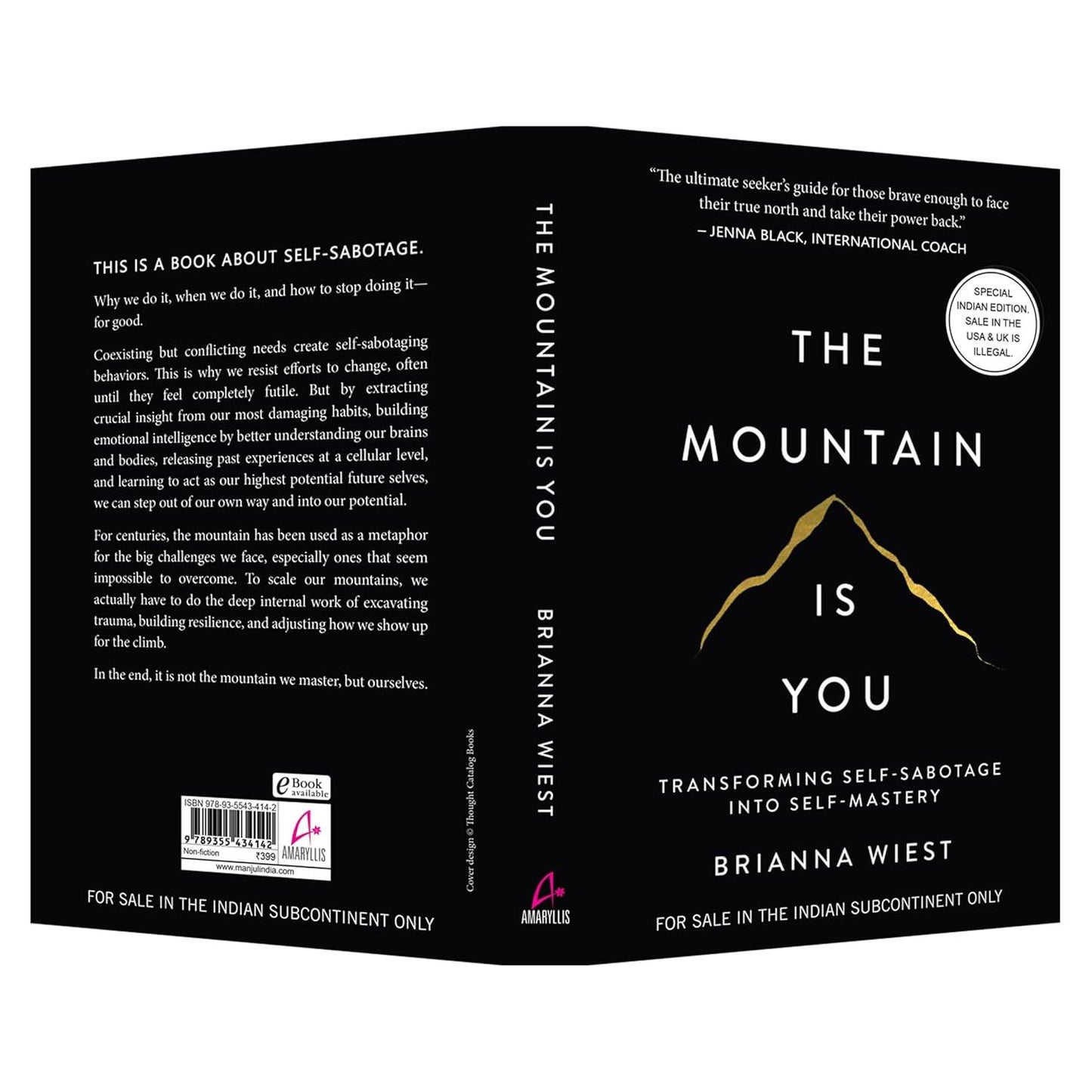 The Mountain Is You (paperback) - Brianna Wiest - BooksAdora