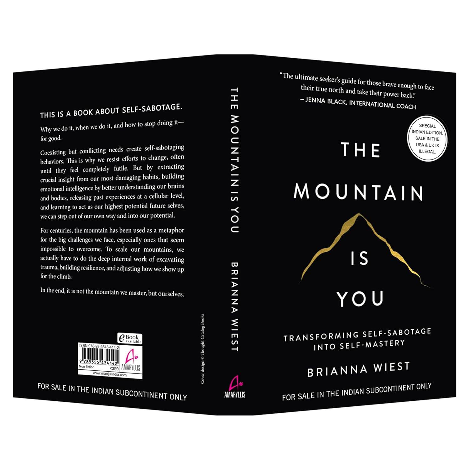 The Mountain Is You (paperback) - Brianna Wiest - BooksAdora