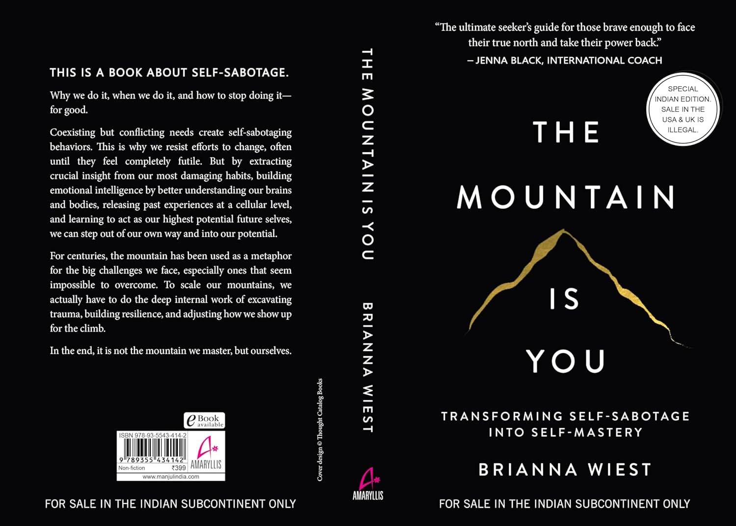 The Mountain Is You (paperback) - Brianna Wiest - BooksAdora