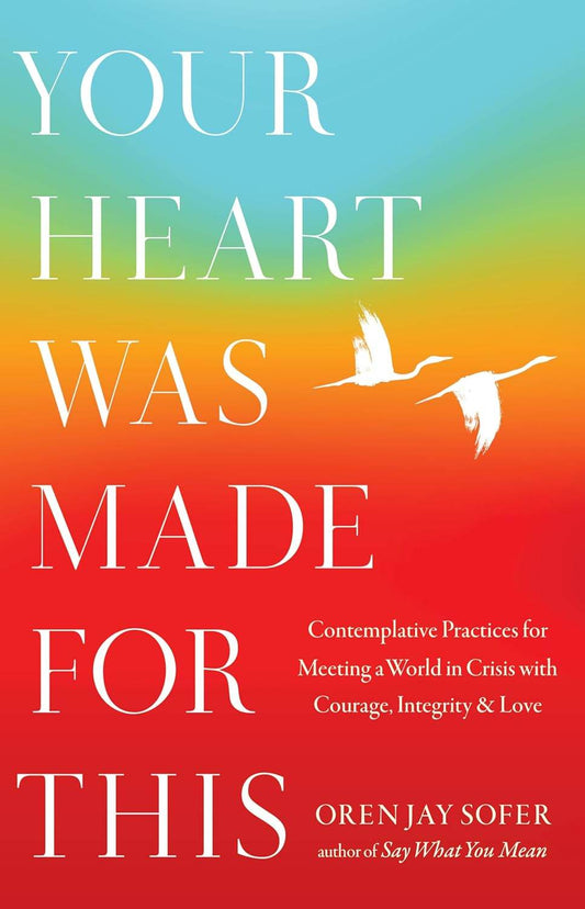 Your Heart Was Made for This by Oren Jay Sofer - BooksAdora